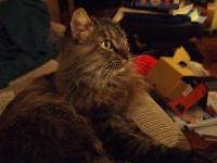 Hermes night on DS couch P2 P2190004